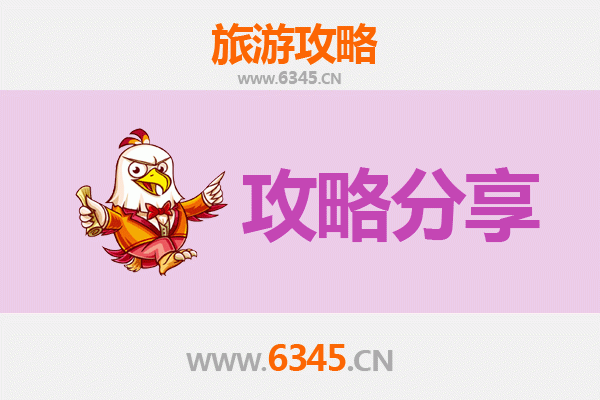 泰安宁阳旅游攻略：跟团与自由行全方位对比